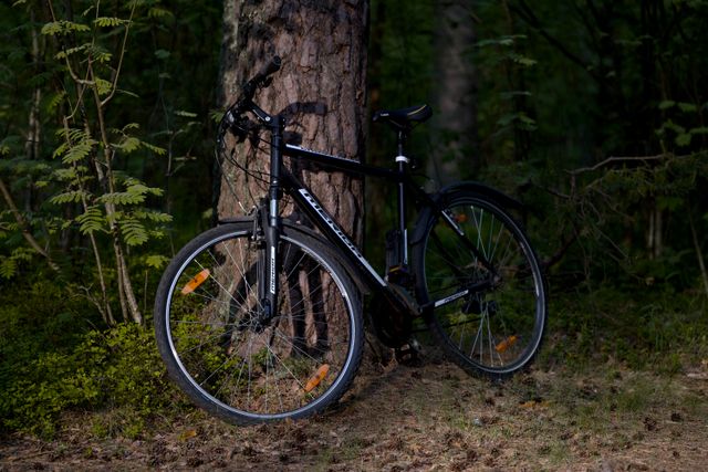Codzienna eksploatacja roweru crossowego – co warto wiedzieć?